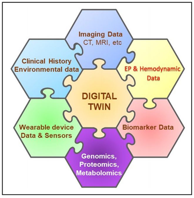 數字孿生技術解鎖心臟奧秘 Circulation重磅研究引領心律失常治療新紀元